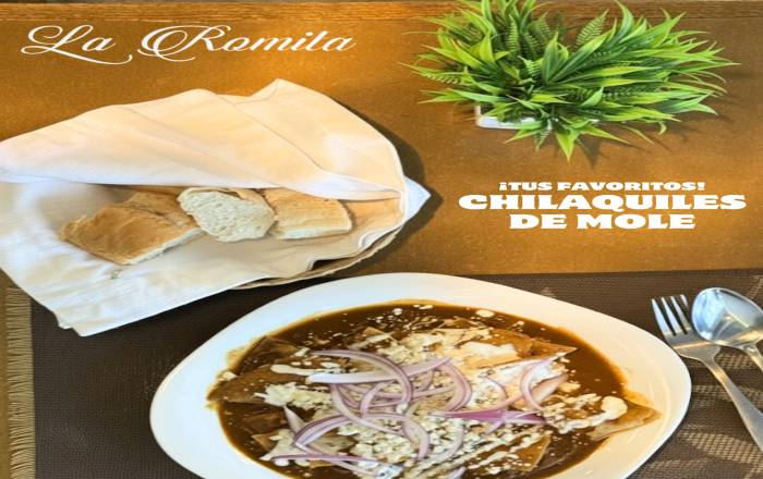 CHILAQUILES DE MOLE